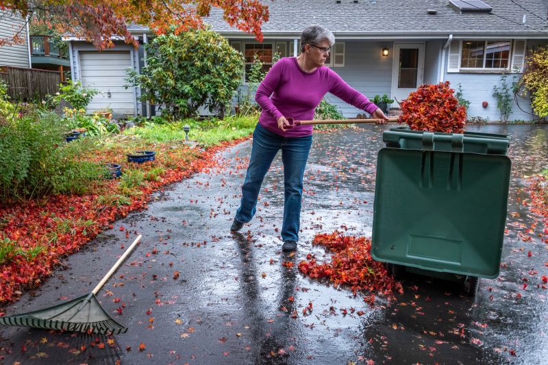 Gathered Leaves and Debris