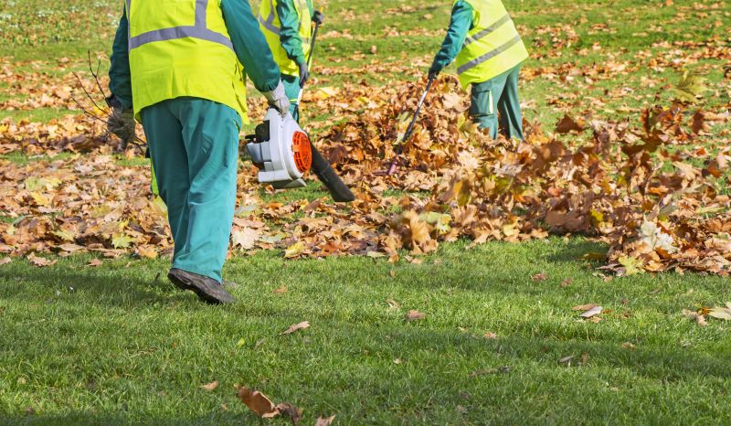 Leaf Blowing Method