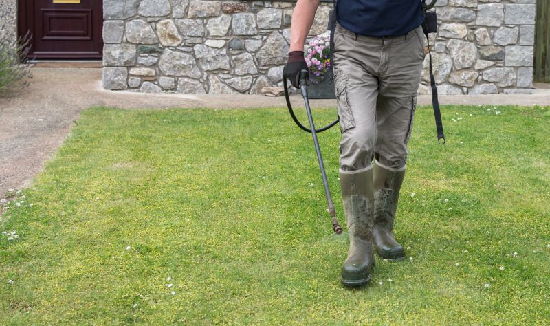 Springtime Lawn Care