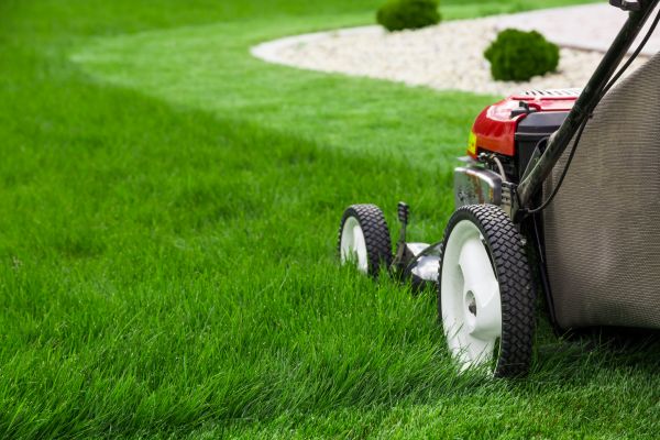 Cost of Grass Cutting Service in Bothell
