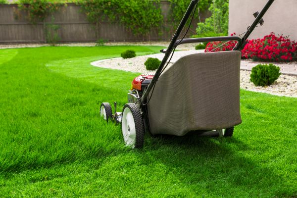 Cost of Home Yard Maintenance in Bothell