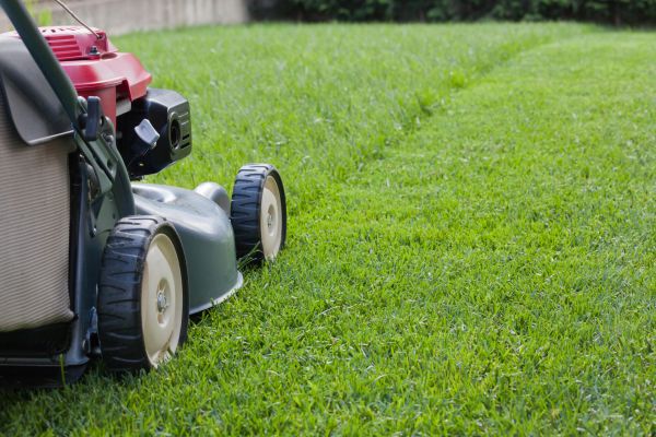 Cost of Lawn Care Service in Bothell