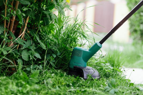 Cost of Weed Whacking in Bothell