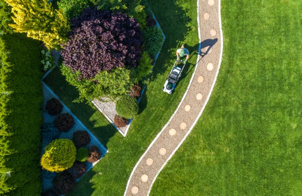 Cost of Mowing And Landscaping in Bothell