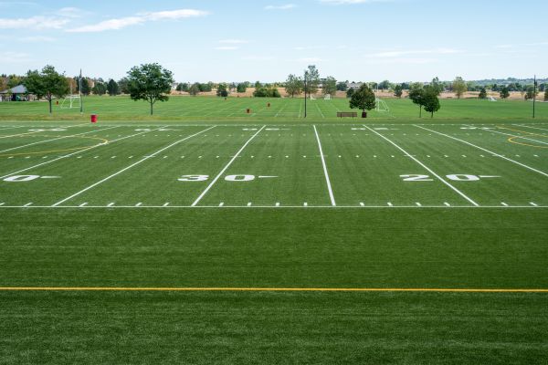 Cost of Groundskeeping Service in Bothell