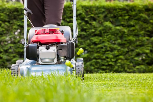 Cost of Grass Trimming Service in Bothell